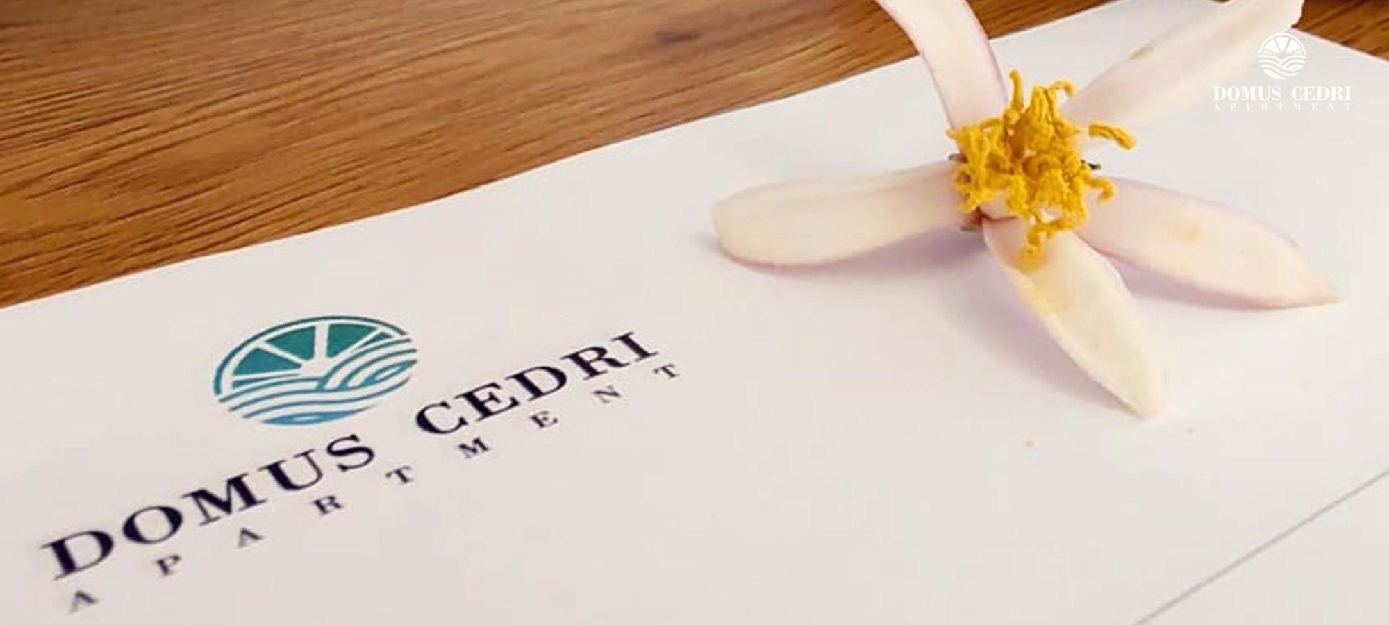 סנטה מריה דל צ'דרו Domus Cedri Apartment מראה חיצוני תמונה