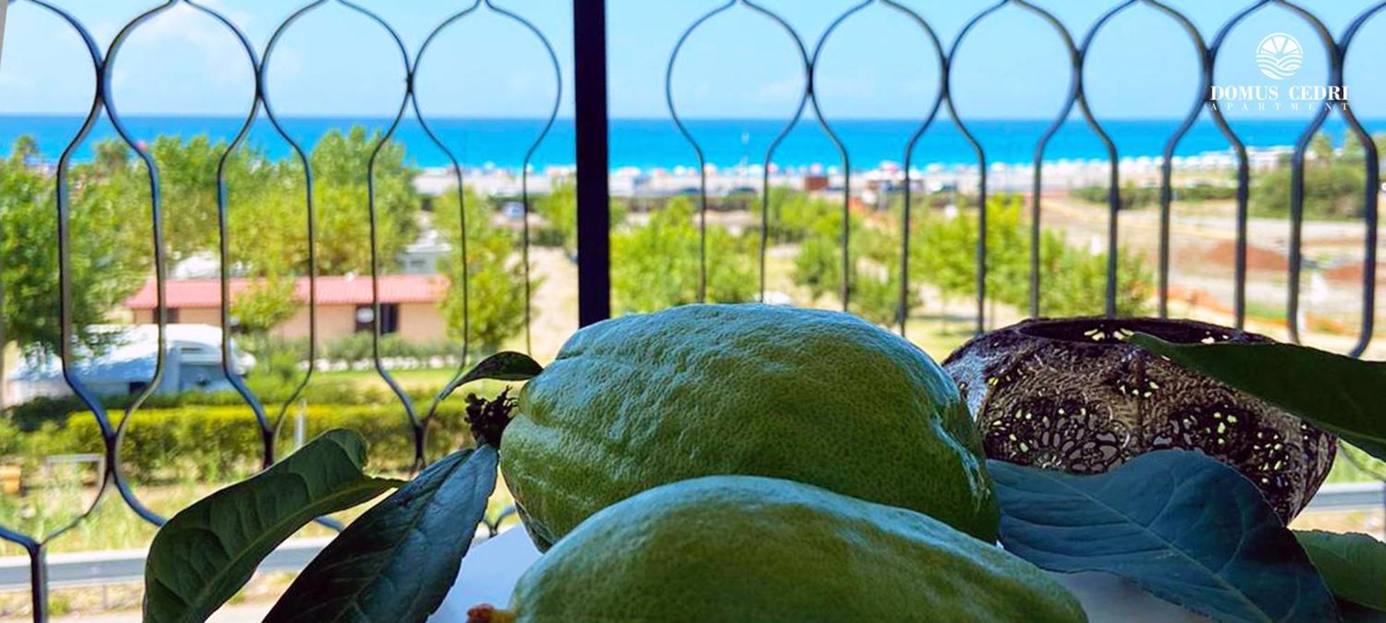 סנטה מריה דל צ'דרו Domus Cedri Apartment מראה חיצוני תמונה